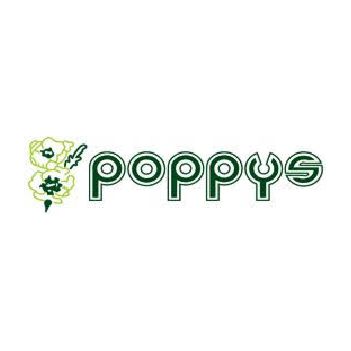 Rooftop solar plant — Poppys Apparel — site photo